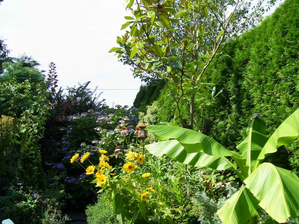 فندق Garden House كورتيناي المظهر الخارجي الصورة